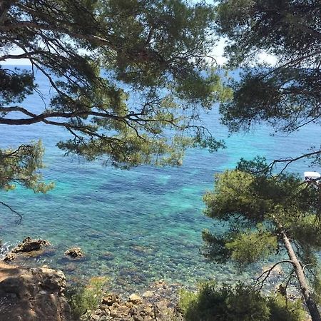 Villa Cocody Bandol Esterno foto