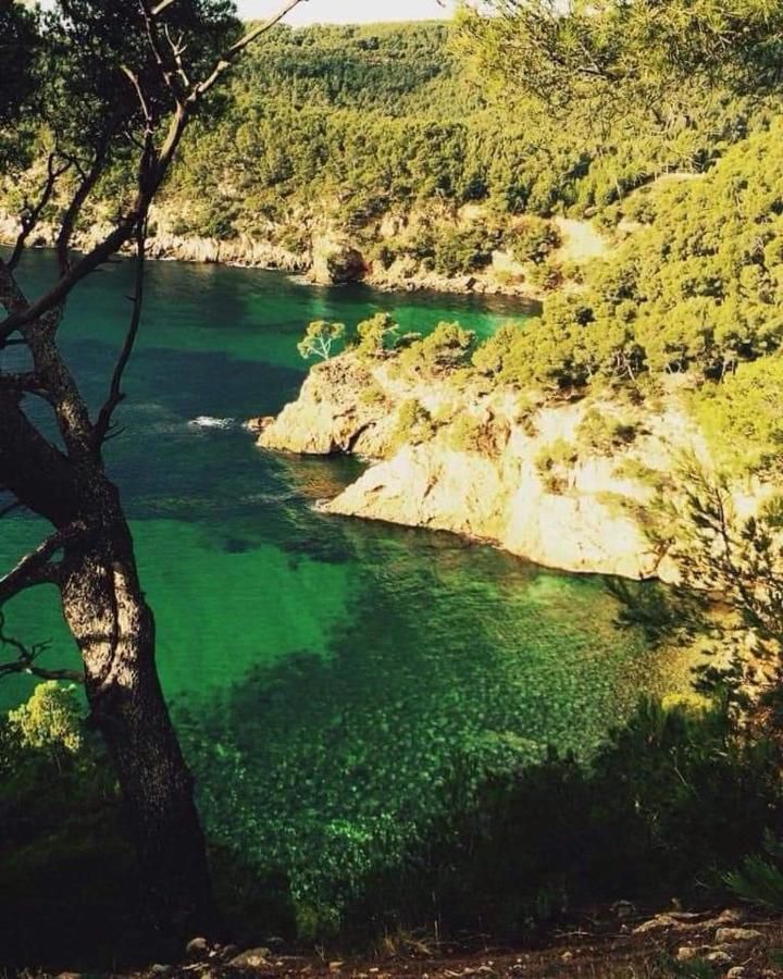 Villa Cocody Bandol Esterno foto