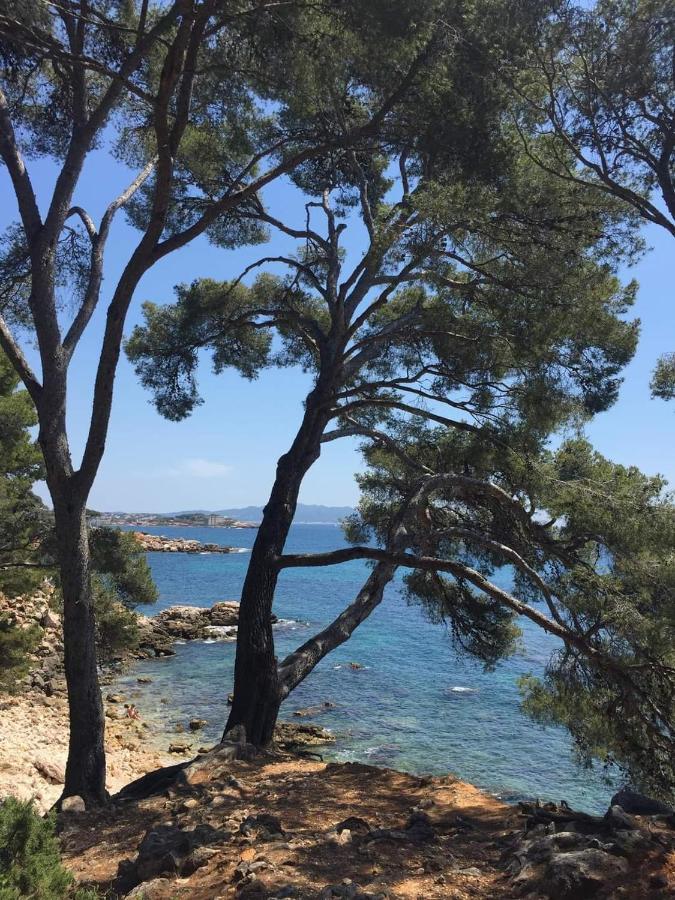Villa Cocody Bandol Esterno foto