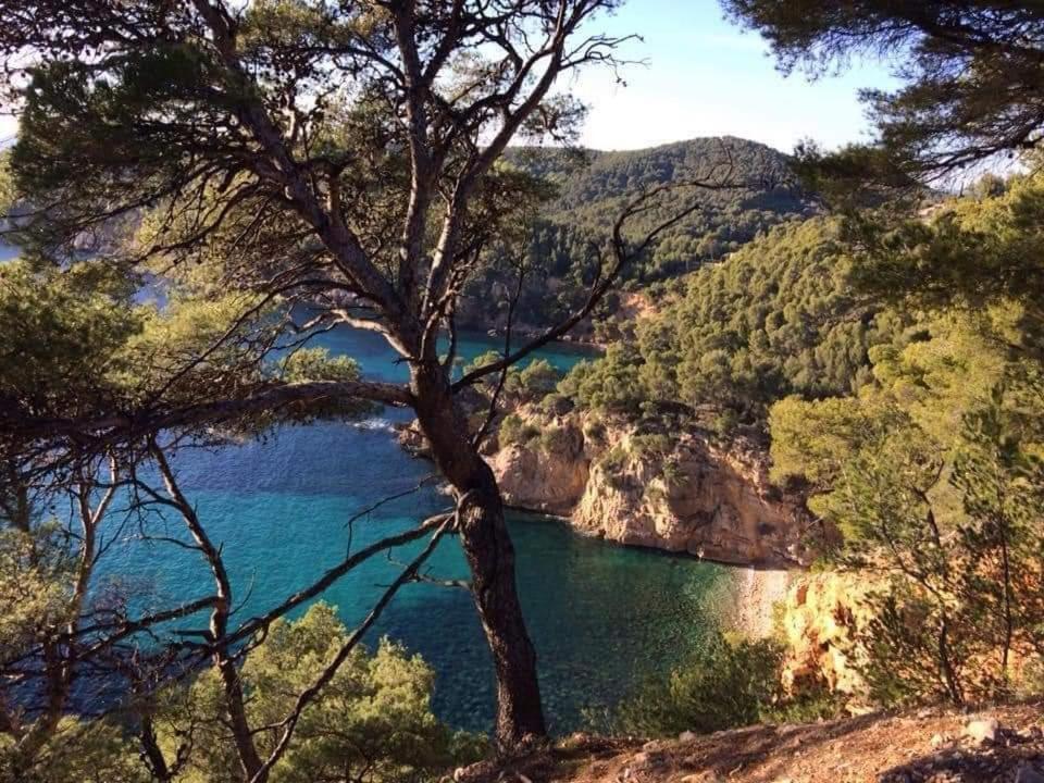 Villa Cocody Bandol Esterno foto